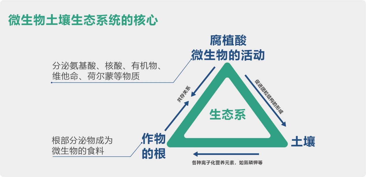 高品質(zhì)有機(jī)小肽原液